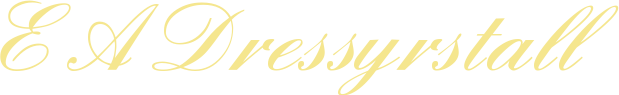 E A Dressyrstall